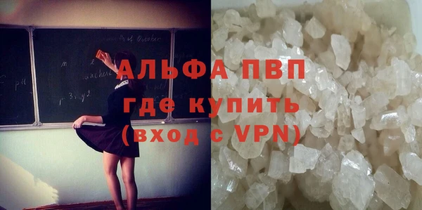 стаф Богородицк
