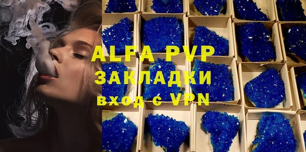 a pvp Бородино