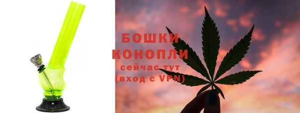 стаф Богородицк
