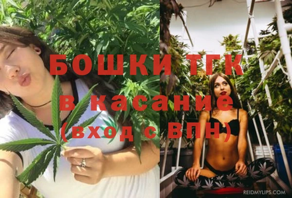 стаф Богородицк